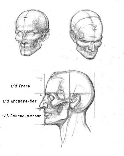 comment dessiner un portrait ; exemples de visages