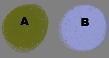 comparer les couleurs