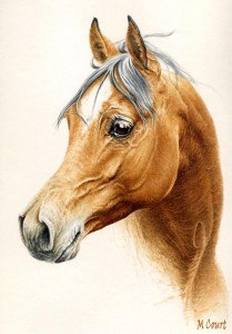 un dessin couleur de cheval