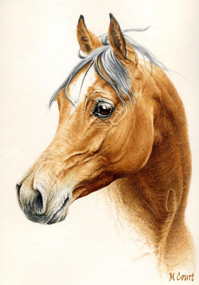 Aquarelle Cheval