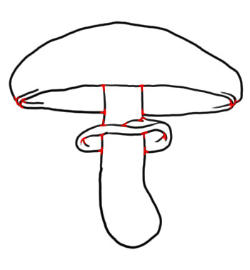 Champignon et raccourcis : solution dessine un champignon et ses raccourcis