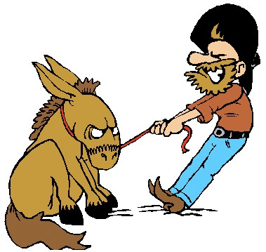 mule bornée
