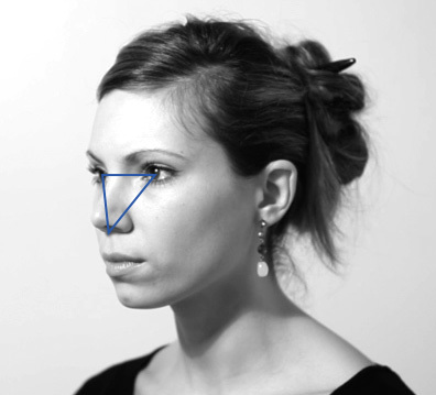 triangle du visage