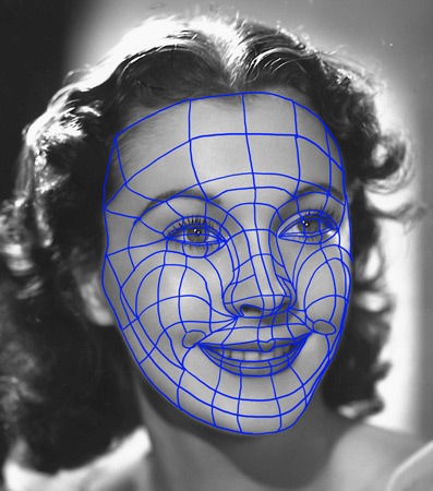 Courbes de niveaux du visage courbes de niveaux visage