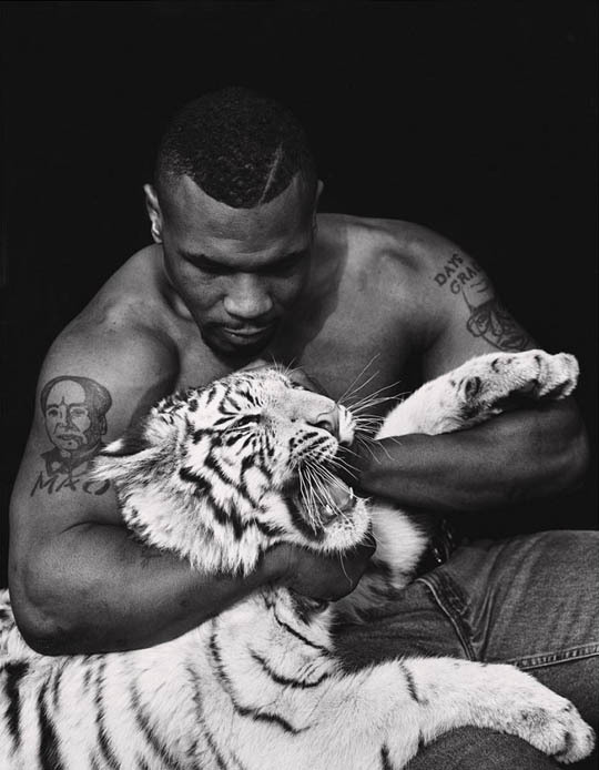 mike-tyson-tiger