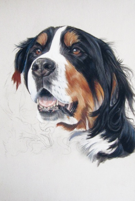 portrait animalier chien pastel