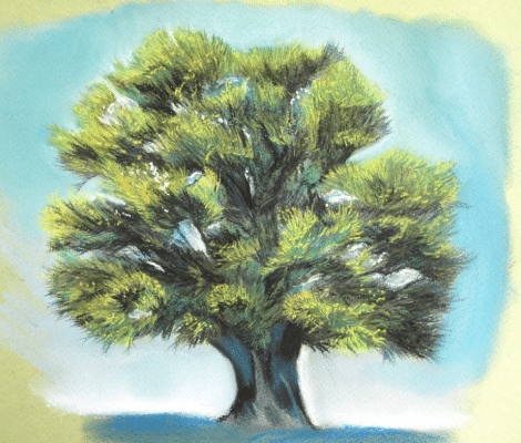 dessin arbre pastel sec