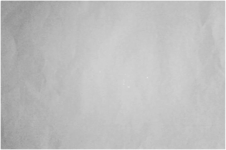 Animation en rough Animer un personnage - Animation en rough