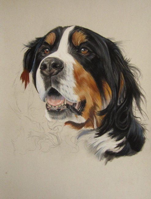 pastel chien 3