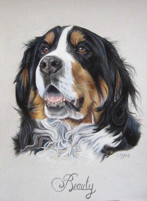 pastel canin fini