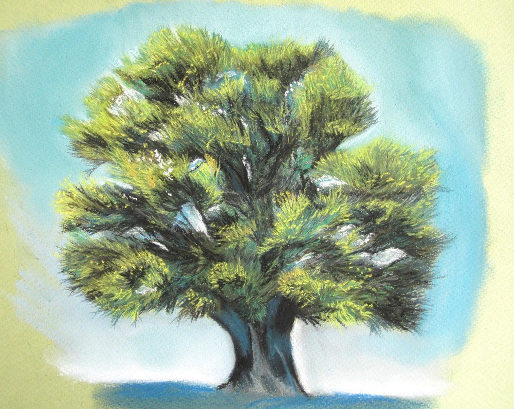 dessin arbre