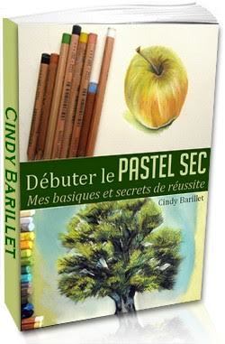 livre pour débuter le pastel sec