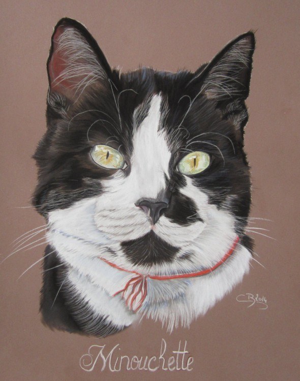 portrait chat pastel