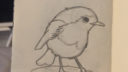 Un dessin de pigeon en train de manger, style simple et enfantin
