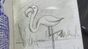 Dessin en cours de flamant rose, technique de croquis simple et détaillée
