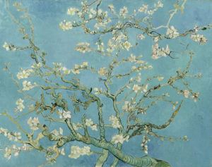 « Amandier en fleurs » (huile sur toile, 1890)