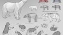 Image montrant des dessins d'animaux de différentes espèces