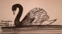 Cygne noir en vol sur fond de vague, technique de dessin simple et élégant