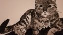 Catober