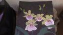 Collage de trois images montrant des fleurs et une personne en train de dessiner