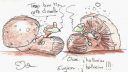 Dessin de deux personnages avec des bulles de dialogue, un chat et un robot doré avec capuche jaune et yeux jaunes