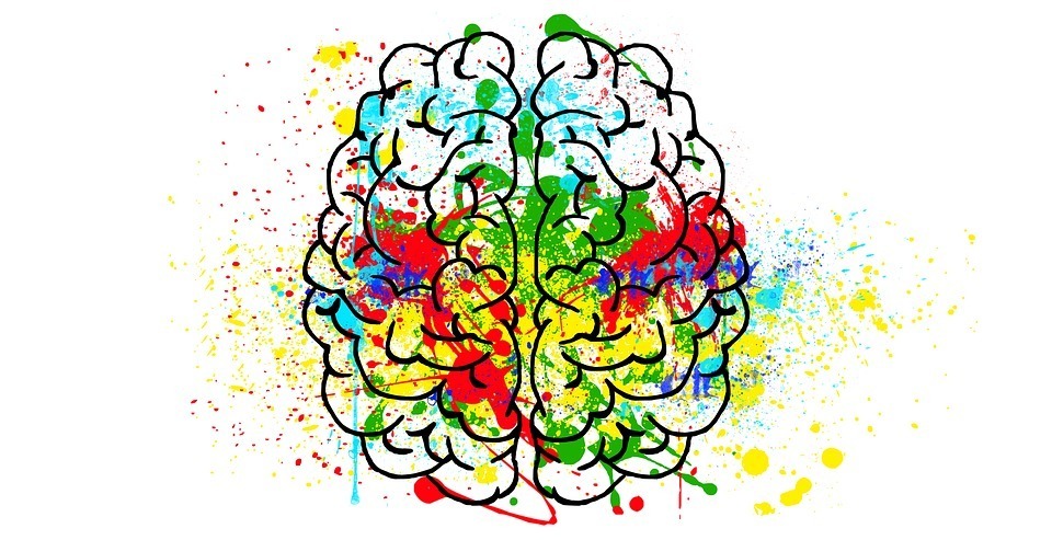 Illustration d'un cerveau coloré