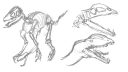 Dessin de dinosaures en mouvement, technique de croquis