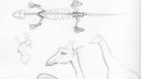 Croquis de lézard en cours de dessin, style simple et technique de ligne claire