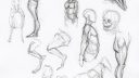 Dessins d'études de corps humain en différentes poses et angles