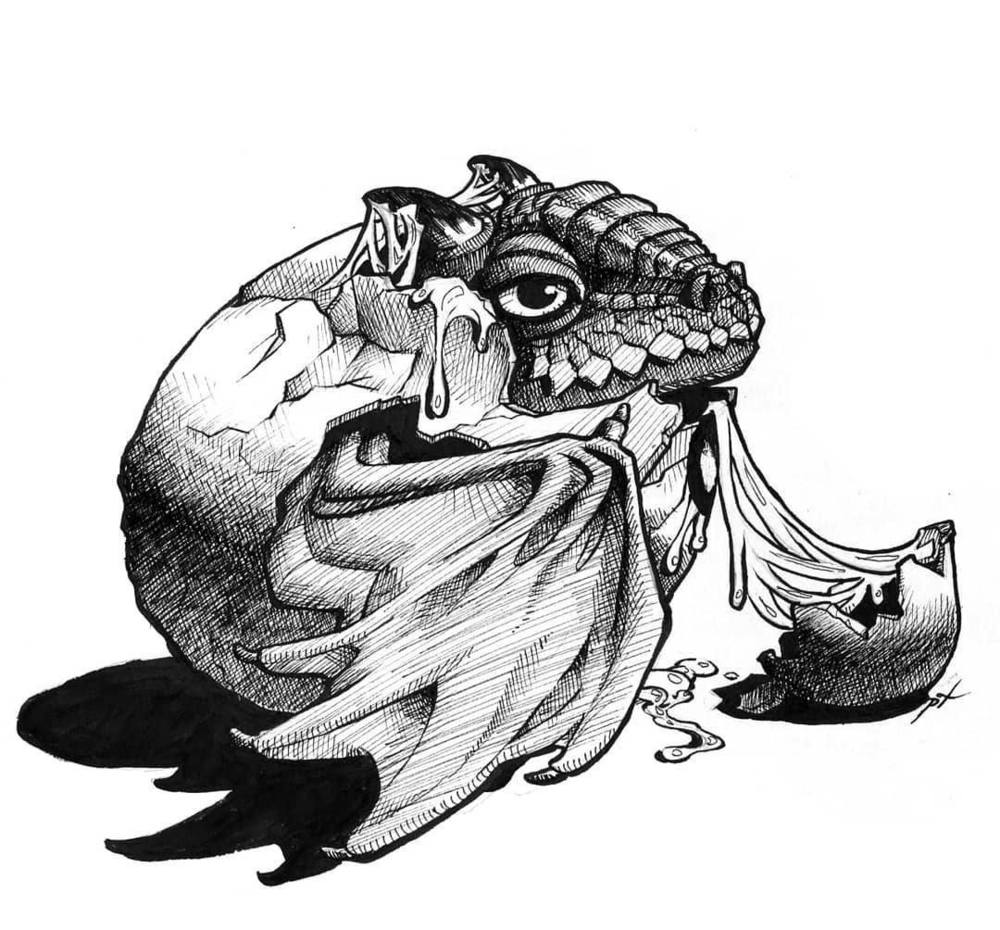 dessin dragon