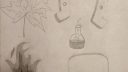 Image montrant des vases et des plantes dessinés en noir et blanc, style simple et minimaliste