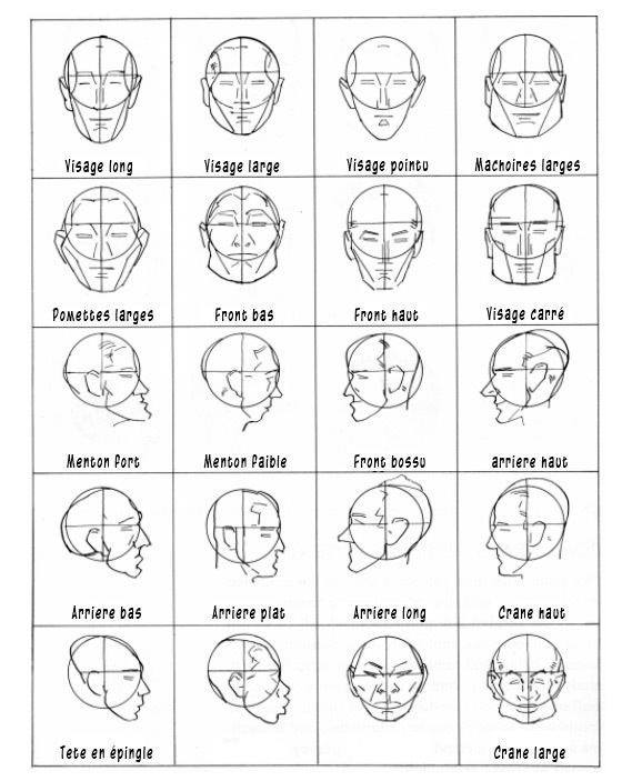 Dessin de différents types de visage