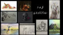S 48 Grateful
