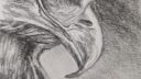 Dessin en noir et blanc d'un visage en profil avec des traits fluides et expressifs