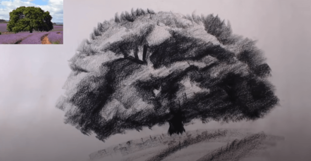 croquis arbre