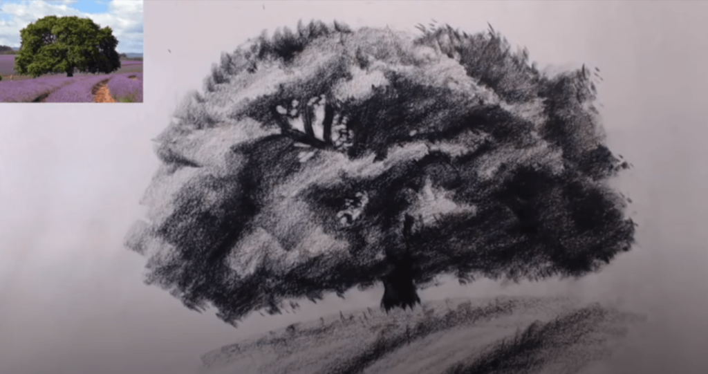 croquis arbre