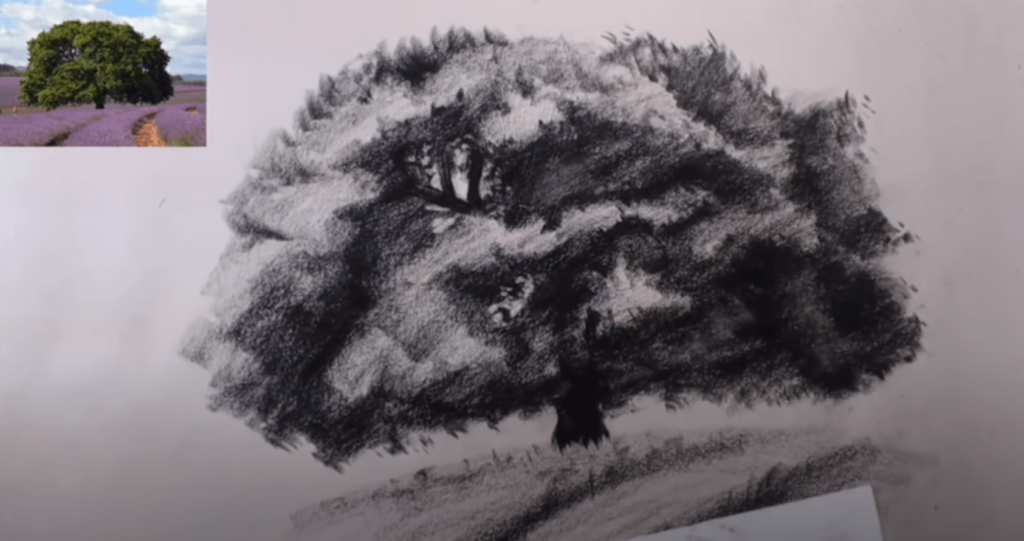 croquis arbre