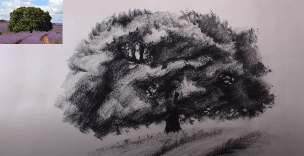 croquis arbre