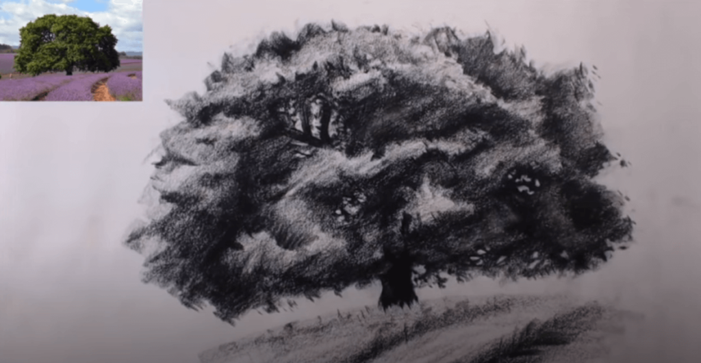 croquis arbre