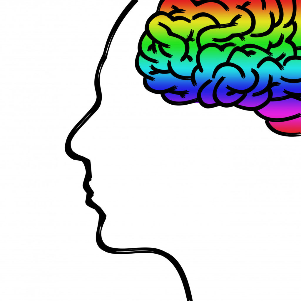 Illustration d'un cerveau coloré