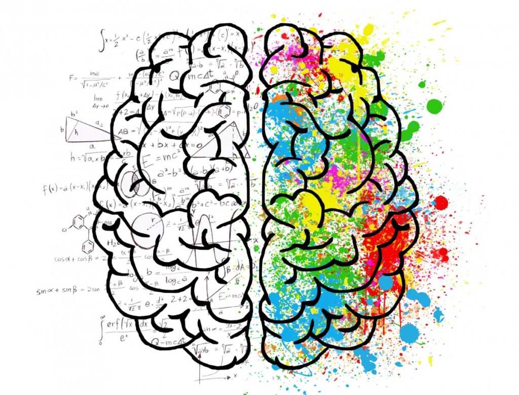 Illustration d'un cerveau pour expliquer les effets de l'art
