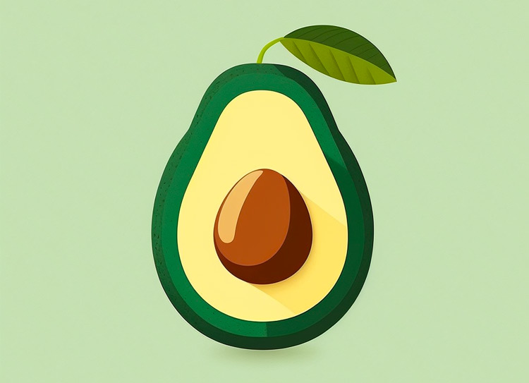 avocat illustration