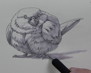 apprendre a dessiner un oiseau d'imagination