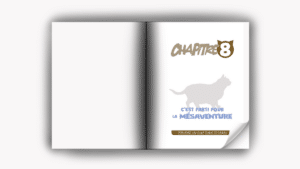 Page de titre du chapitre 8 du livre 'Les chats expliqués par un chat' de Skipto, avec une page blanche à gauche
