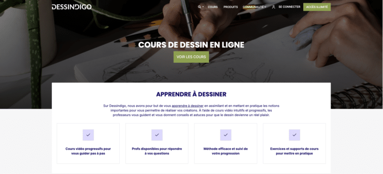 Avis sur Dessindigo - accueil de la plateforme