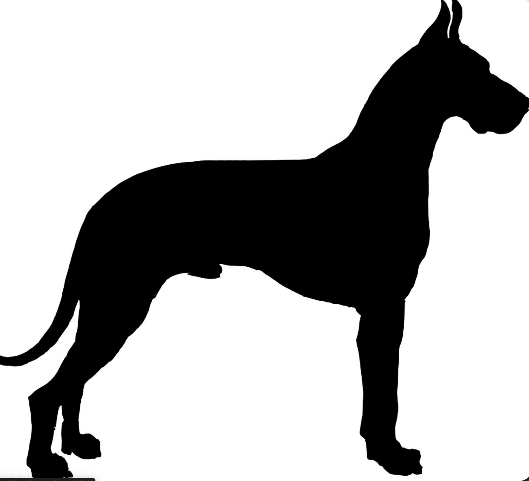 Silhouette noire d'un grand chien de type dogue allemand