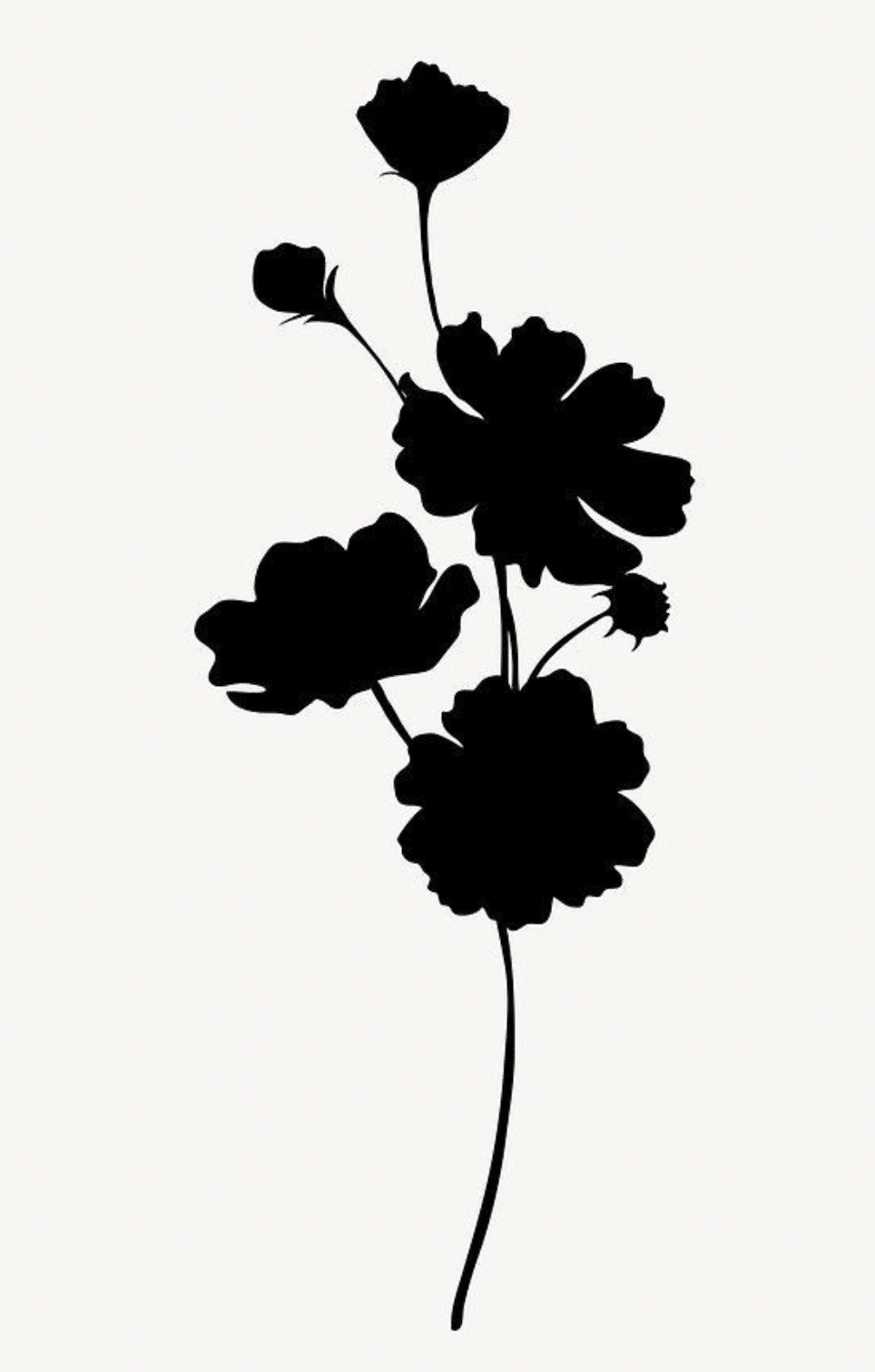Silhouette noire d'une fleur avec sa tige