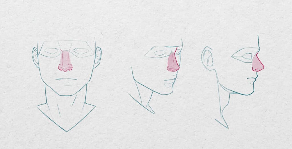 Dessinez le nez sous plusieurs angles de vue