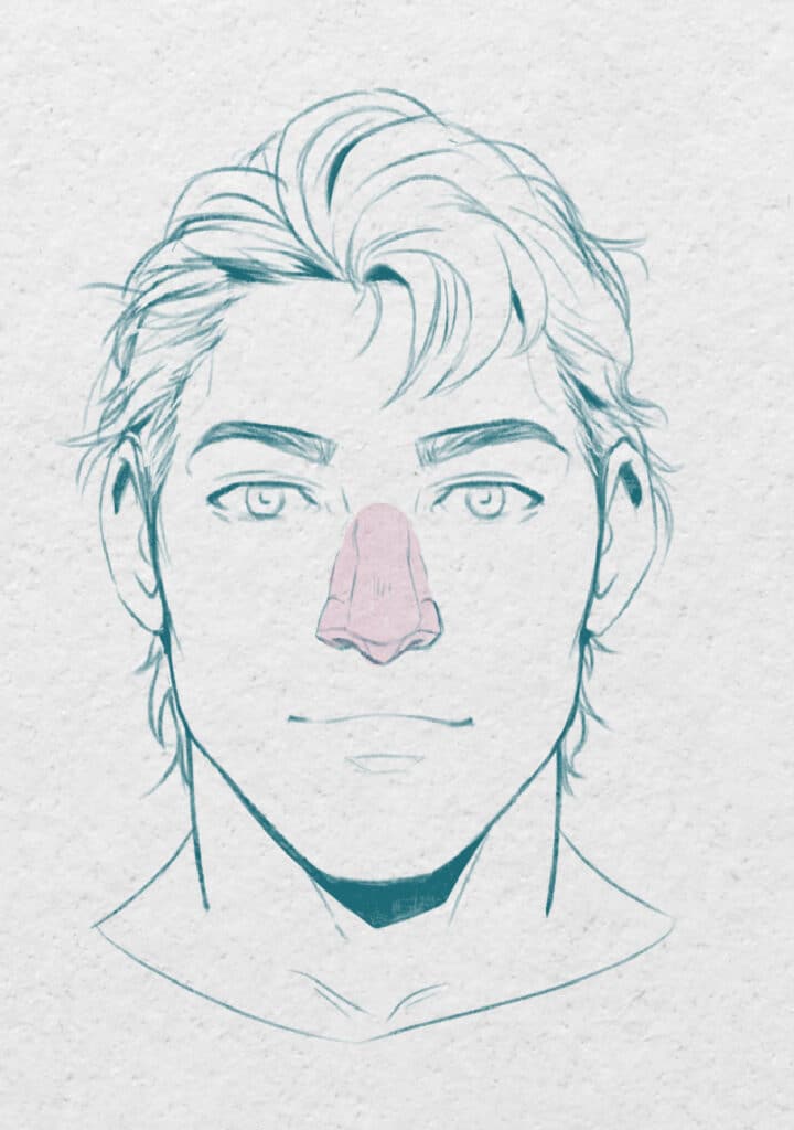 Dessiner un nez masculin