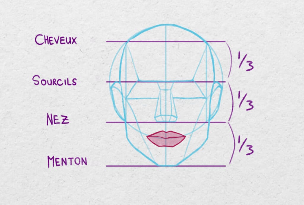 Positionner la bouche dans le visage avec la méthode Loomis